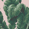 Green & Blush