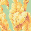 Aqua & Yellow