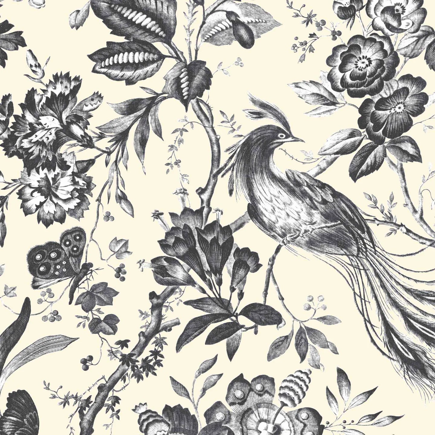 Plumage Wallpaper by Woodchip & Magnolia