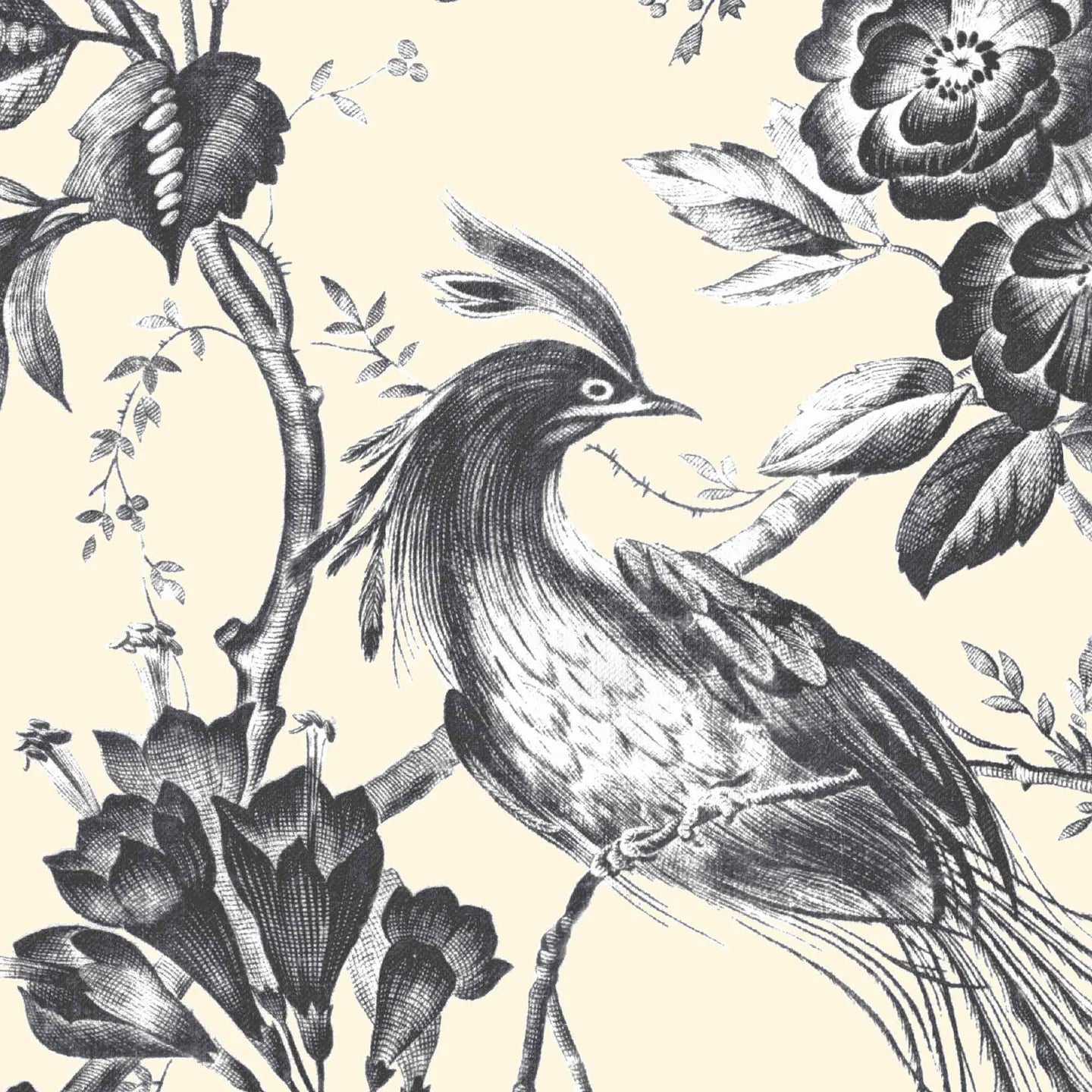Plumage Wallpaper by Woodchip & Magnolia