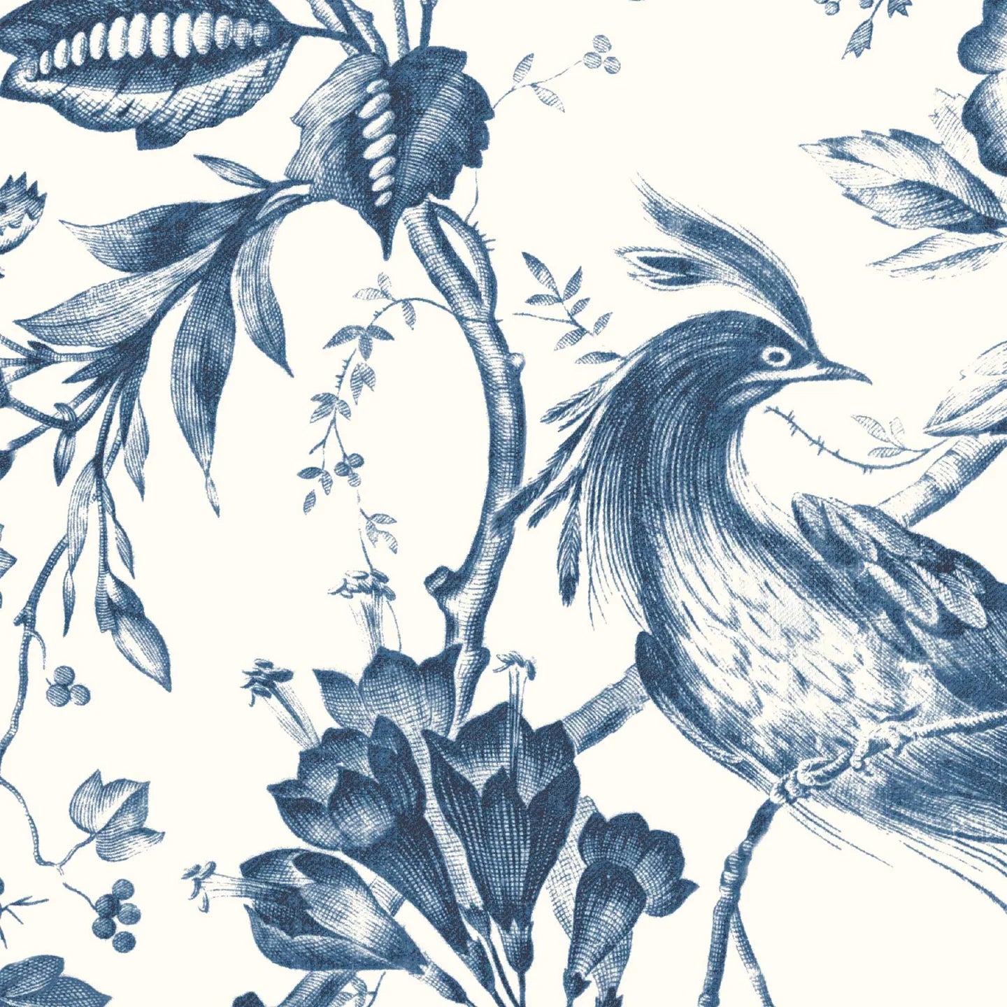Plumage Wallpaper by Woodchip & Magnolia