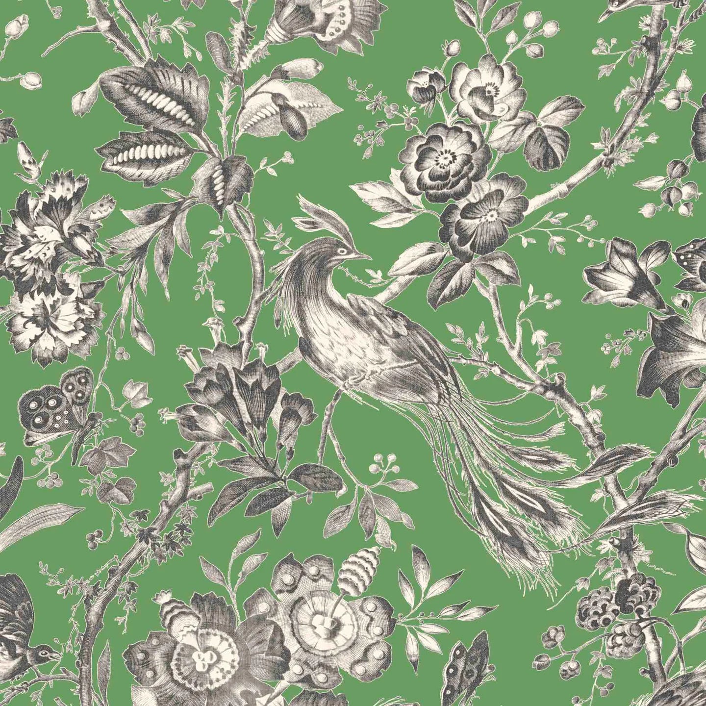 Plumage Wallpaper by Woodchip & Magnolia