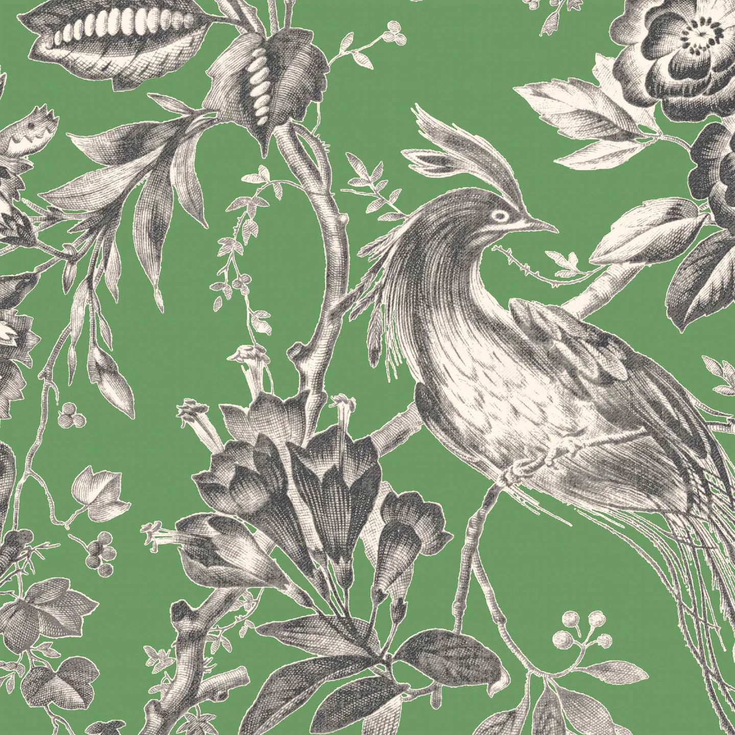 Plumage Wallpaper by Woodchip & Magnolia