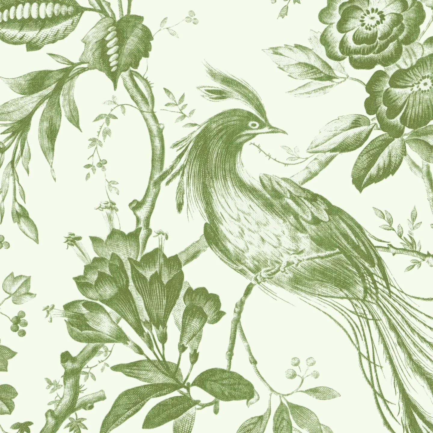 Plumage Wallpaper by Woodchip & Magnolia
