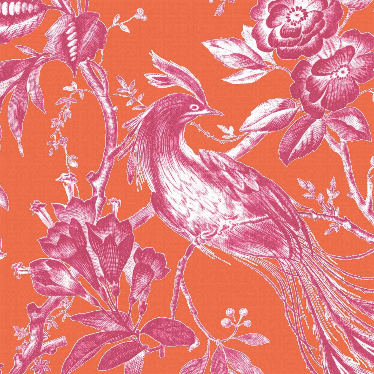 Plumage Wallpaper by Woodchip & Magnolia