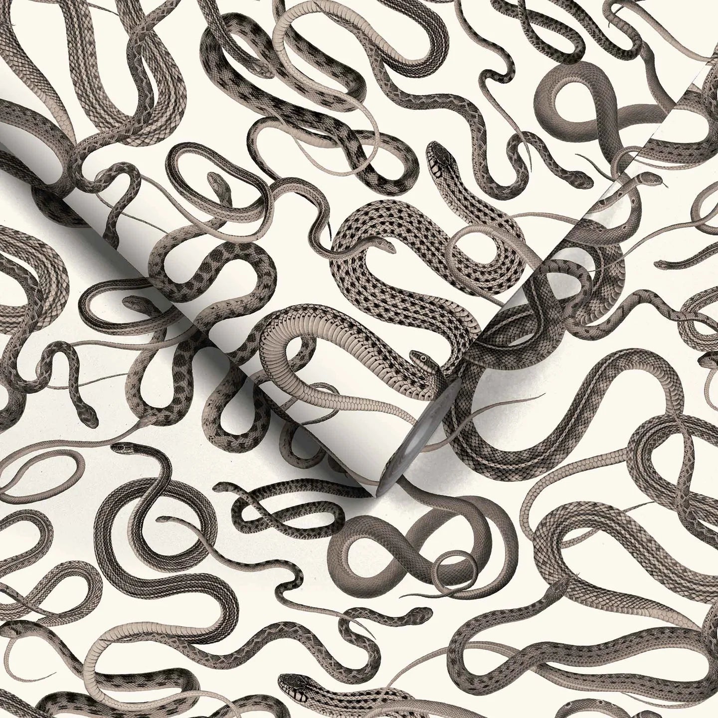 Snakes On A Plane Wallpaper by Woodchip & Magnolia