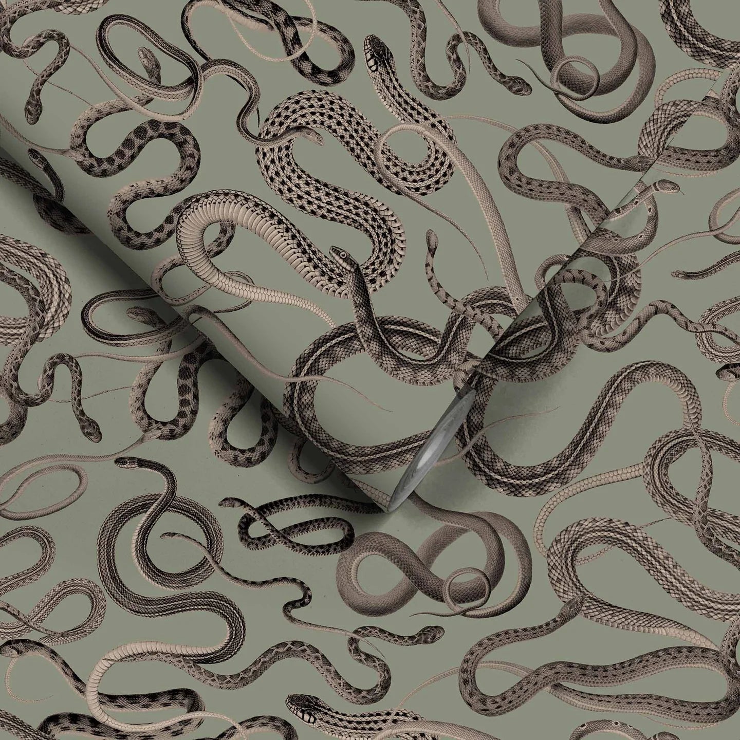 Snakes On A Plane Wallpaper by Woodchip & Magnolia