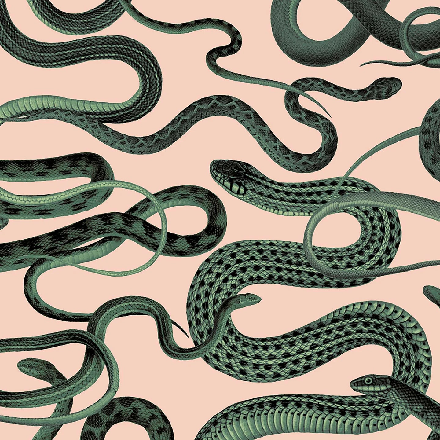 Snakes On A Plane Wallpaper by Woodchip & Magnolia