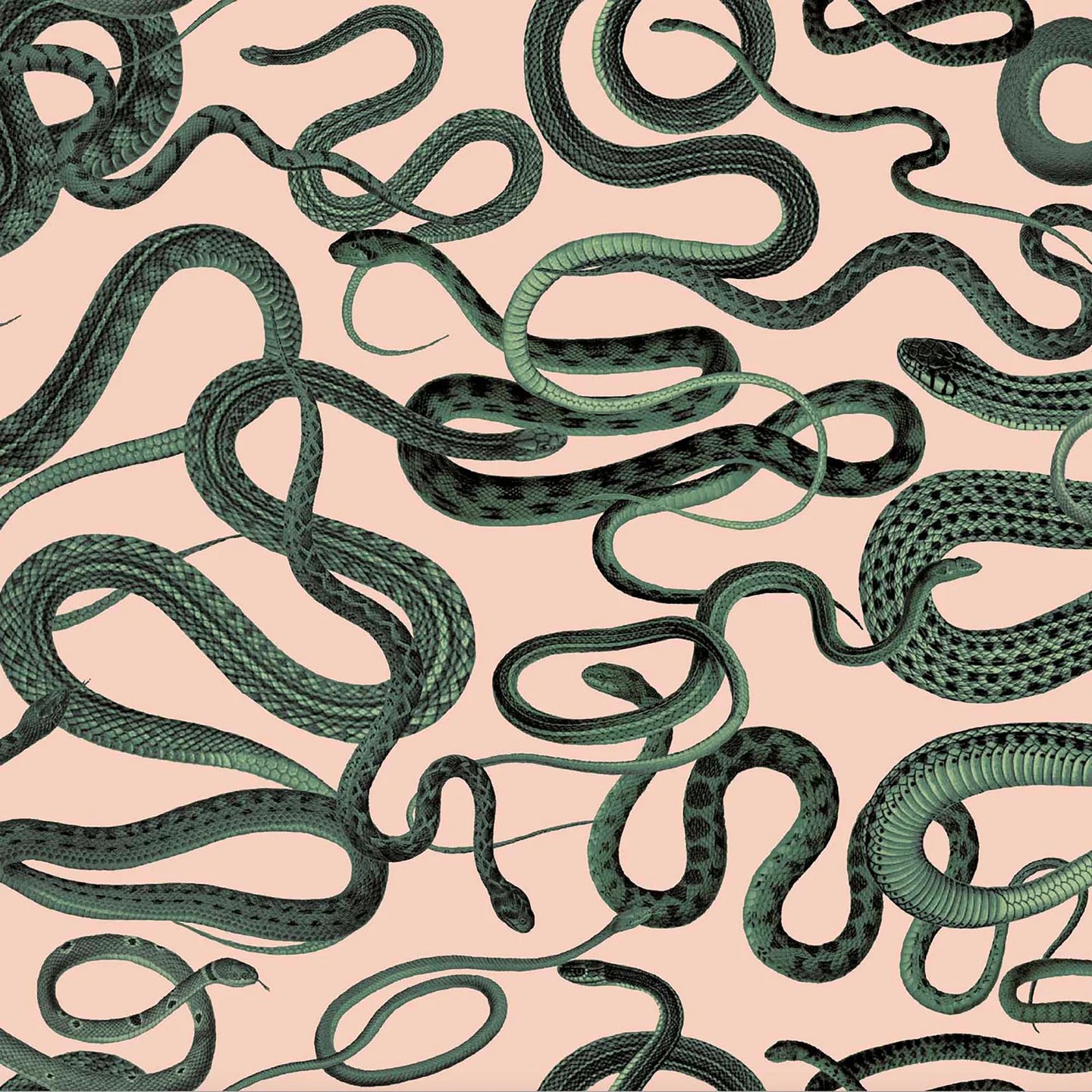 Snakes On A Plane Wallpaper by Woodchip & Magnolia