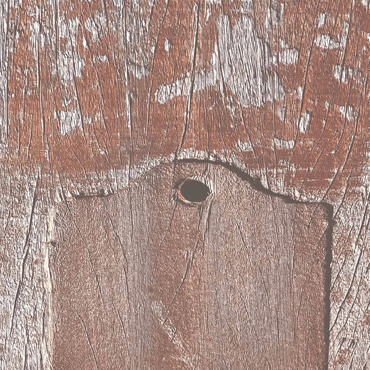 Driftwood Plank Wallpaper by Woodchip & Magnolia