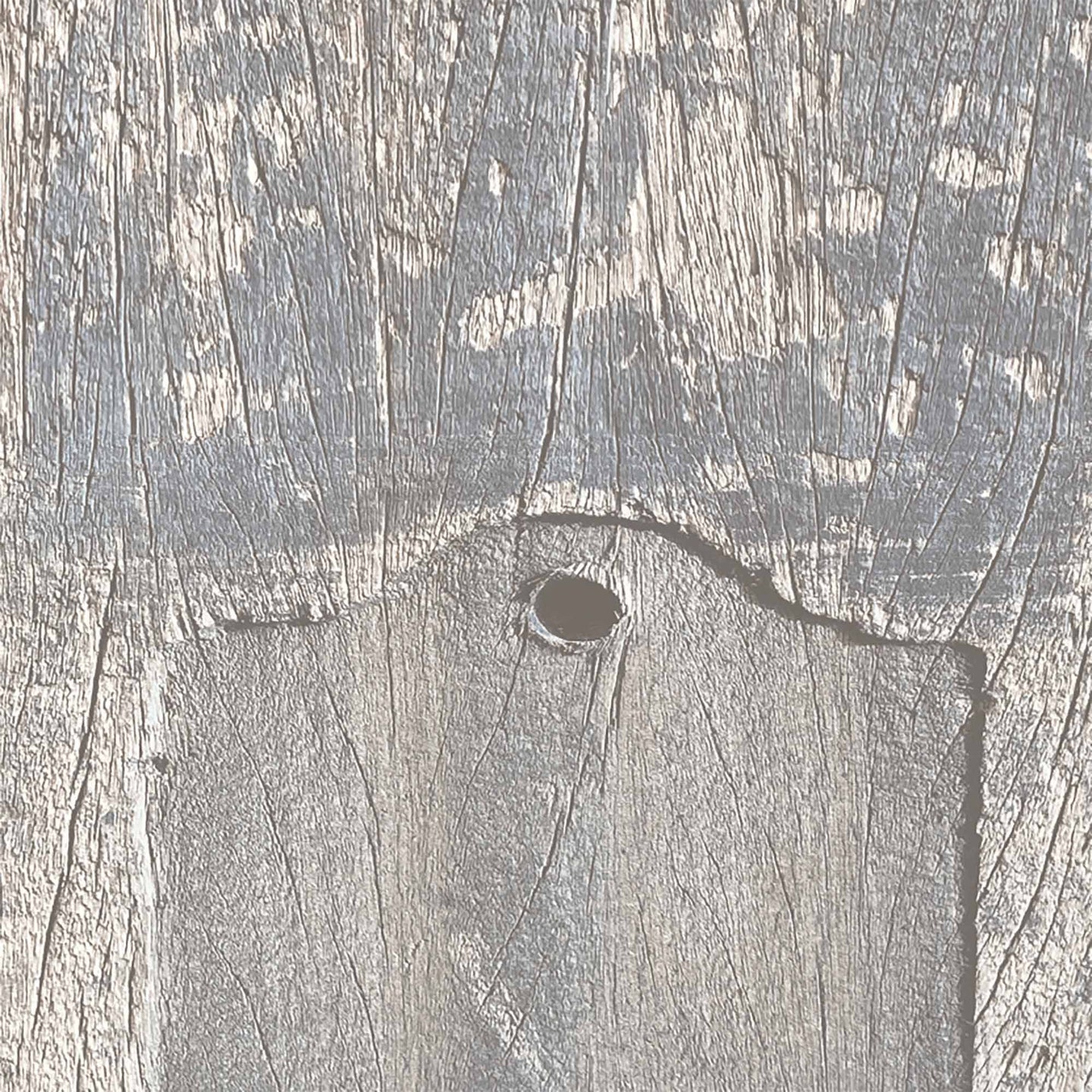 Driftwood Plank Wallpaper by Woodchip & Magnolia