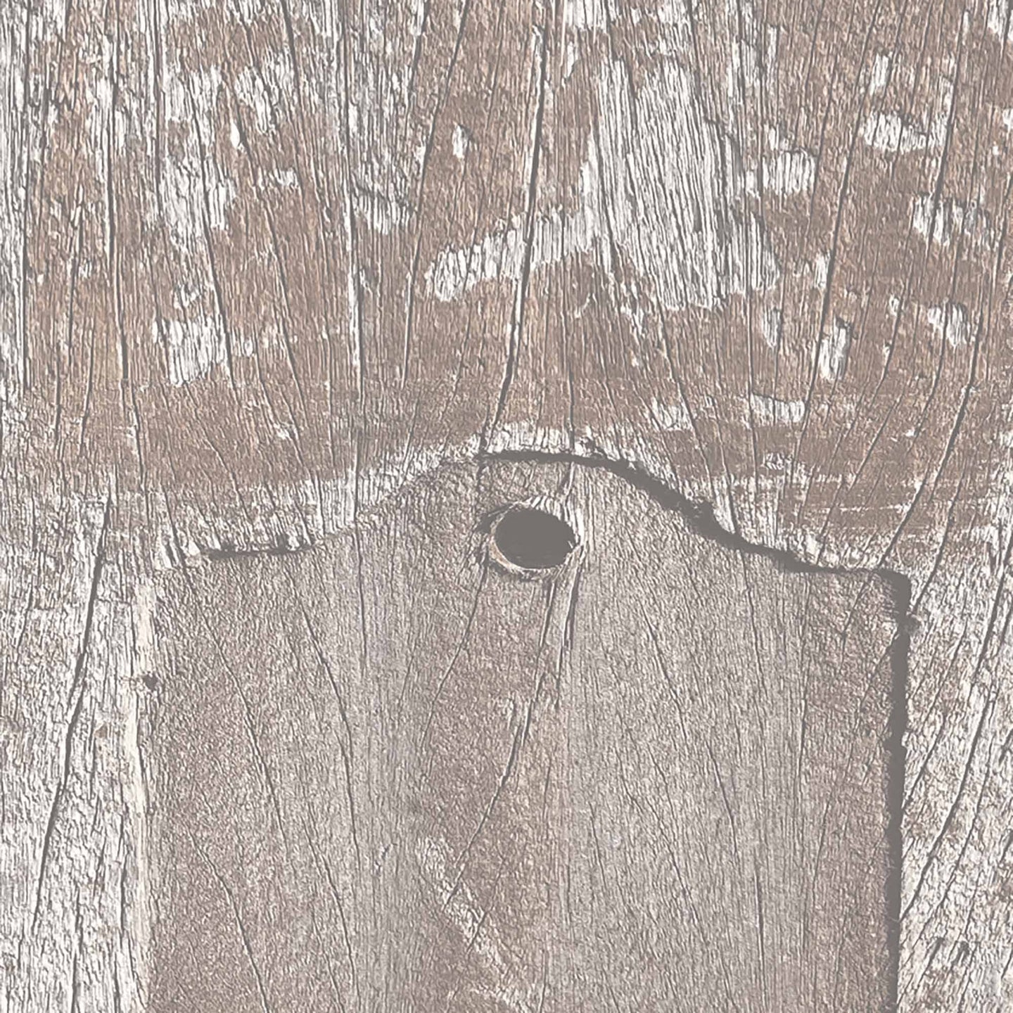 Driftwood Plank Wallpaper by Woodchip & Magnolia