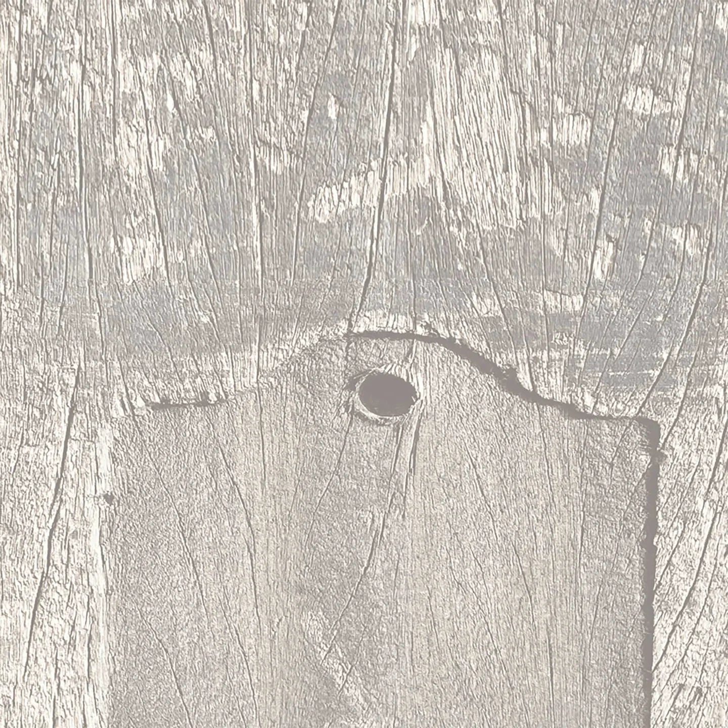 Driftwood Plank Wallpaper by Woodchip & Magnolia