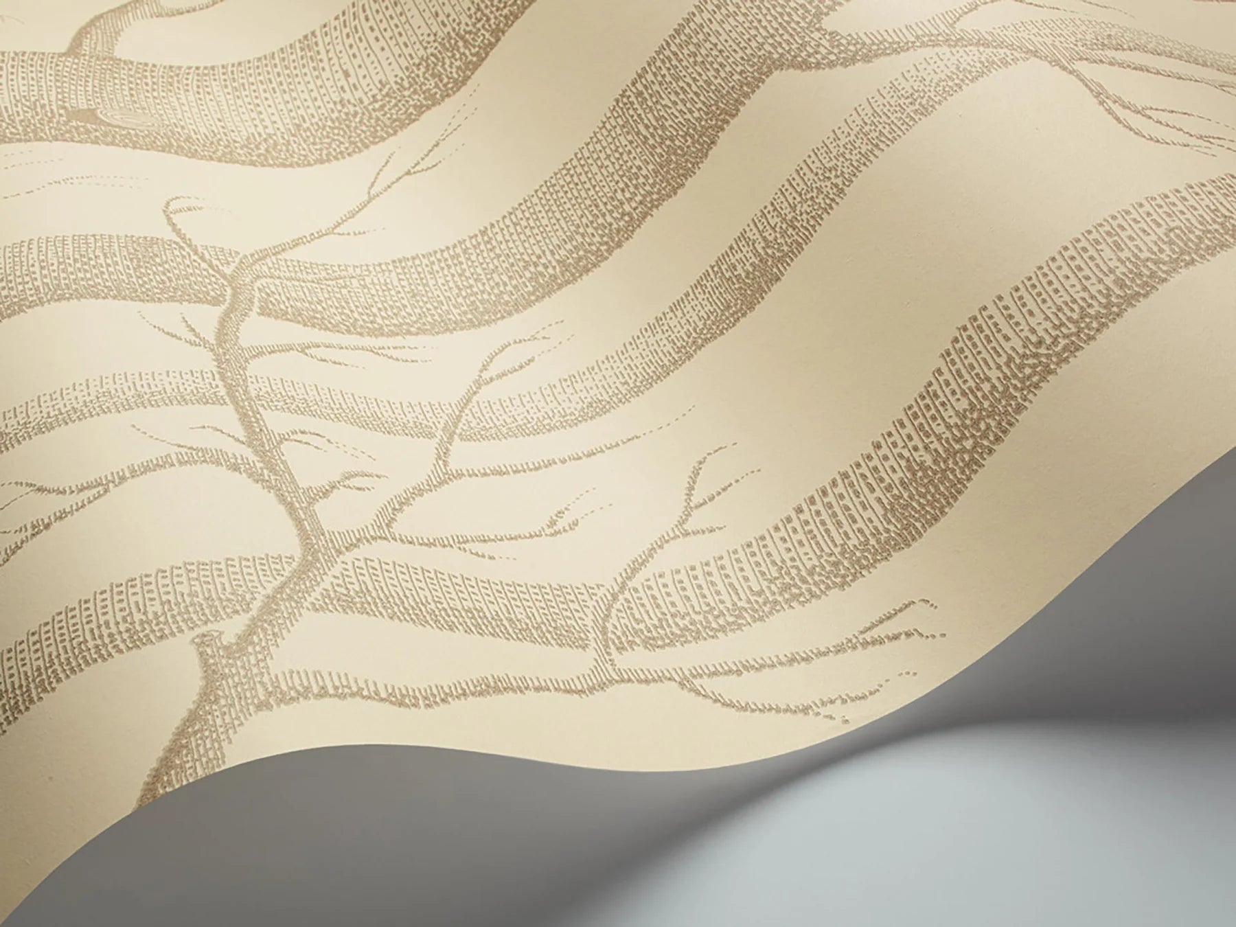 Woods Wallpaper by Cole & Son