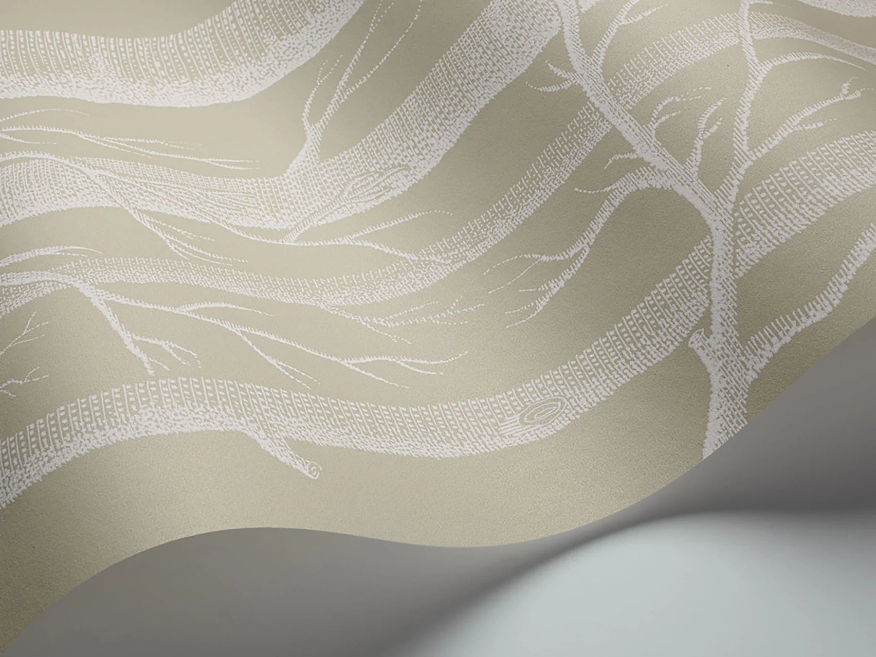 Woods Wallpaper by Cole & Son