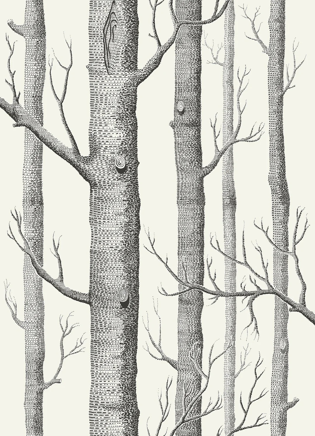 Woods Wallpaper by Cole & Son