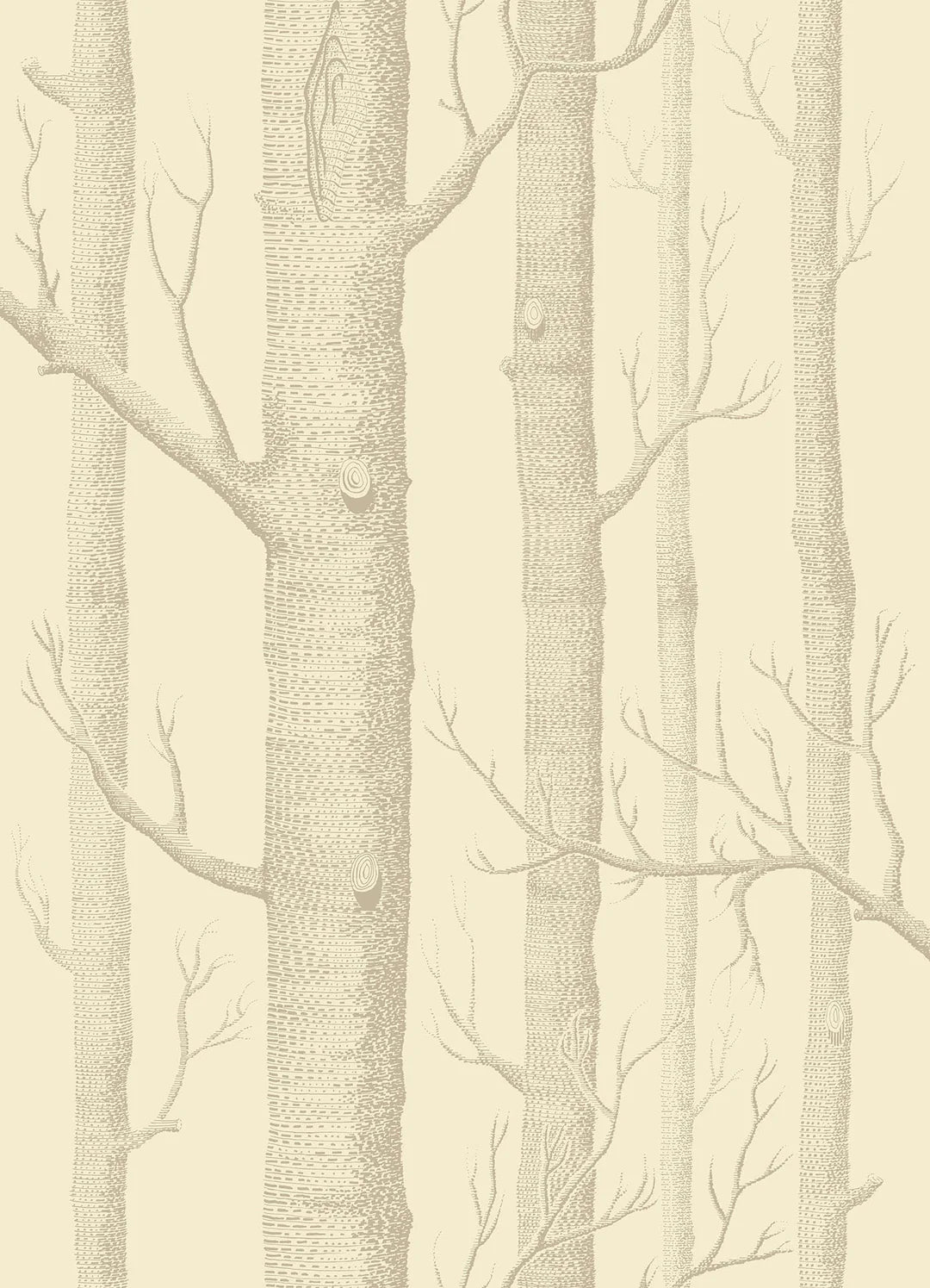 Woods Wallpaper by Cole & Son