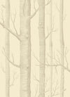 Linen on Cream