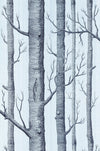 Woods Wallpaper by Cole & Son