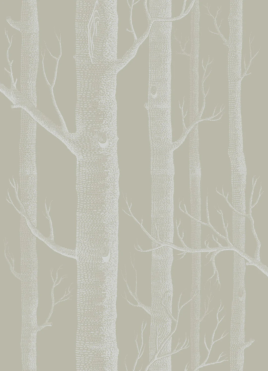 Woods Wallpaper by Cole & Son