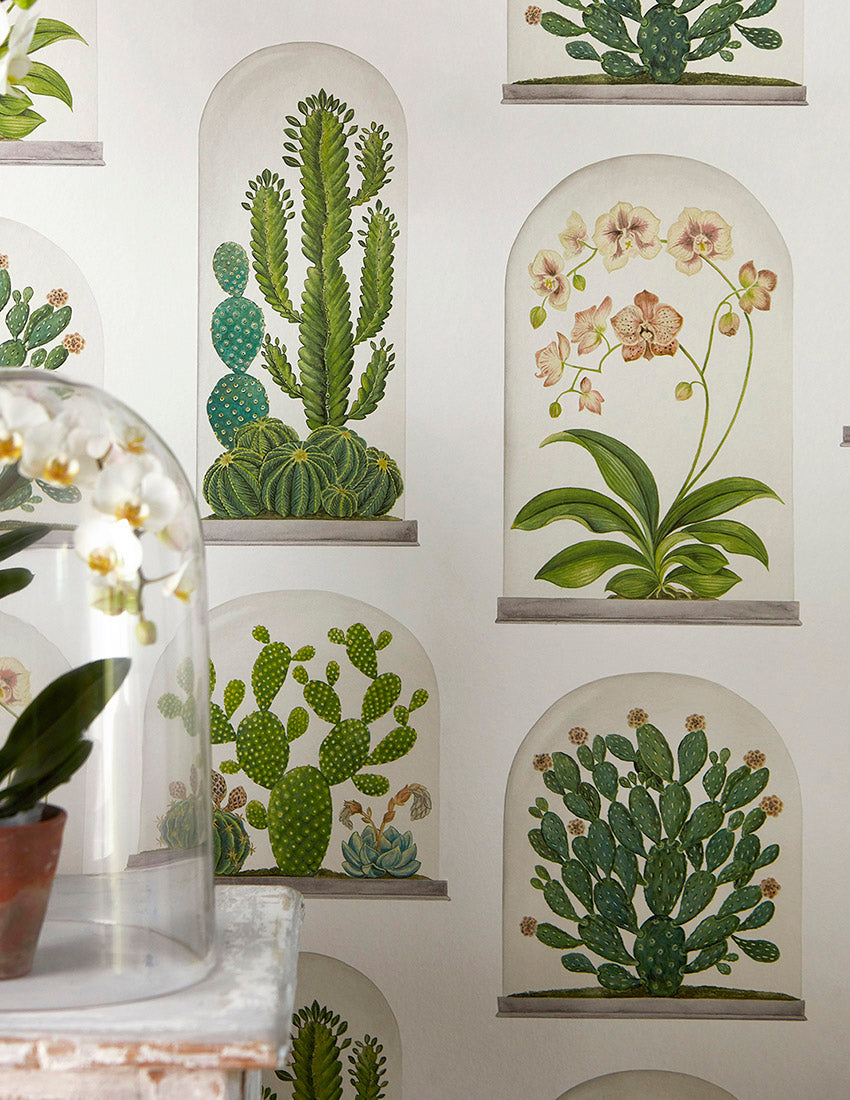 Terrariums Wallpaper