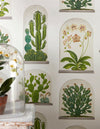 Terrariums Wallpaper by Sanderson