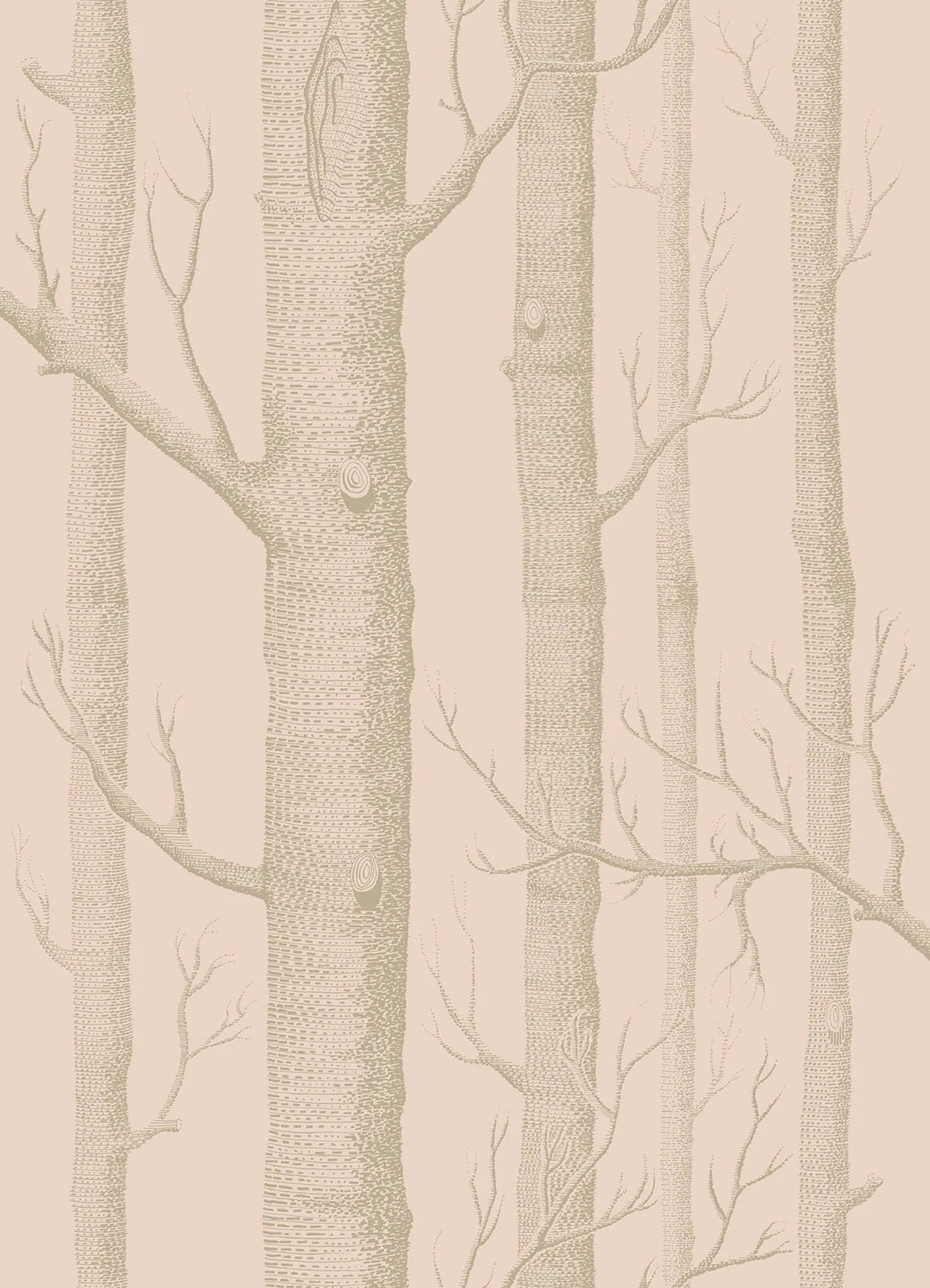 Woods Whimsical Wallpaper by Cole & Son