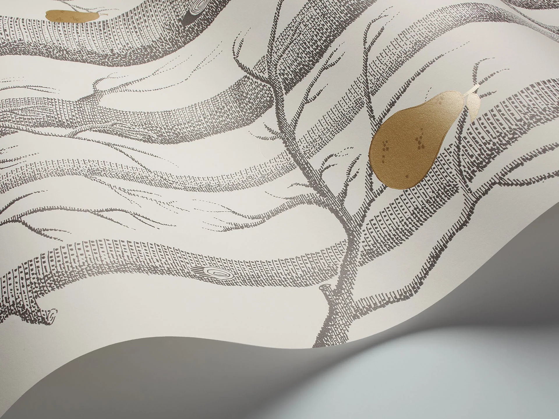 Woods & Pears Wallpaper by Cole & Son