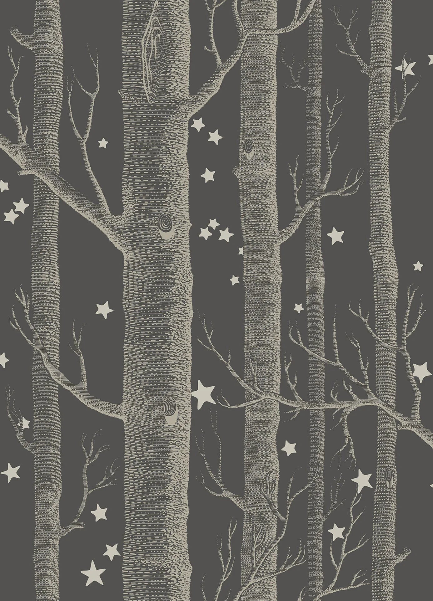Woods & Stars Wallpaper by Cole & Son
