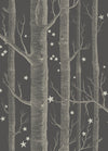 Woods & Stars Wallpaper by Cole & Son