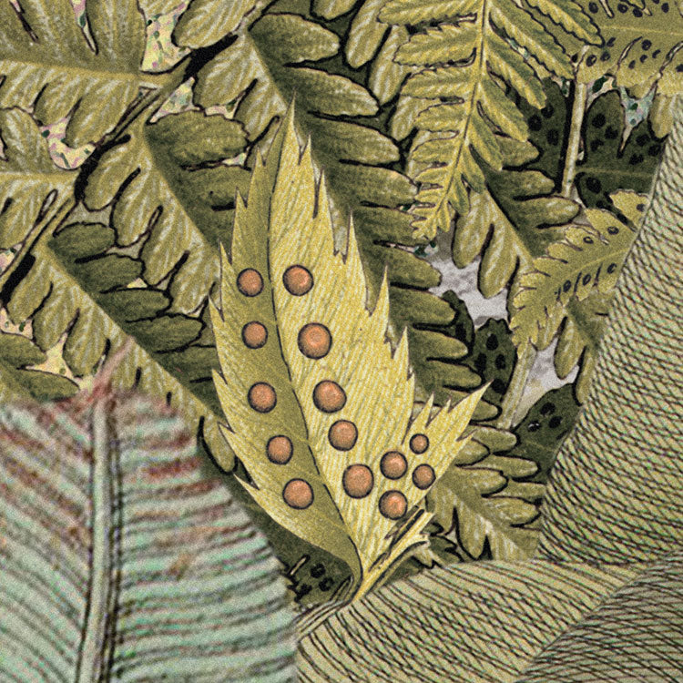 Amazonia Jungle Mural