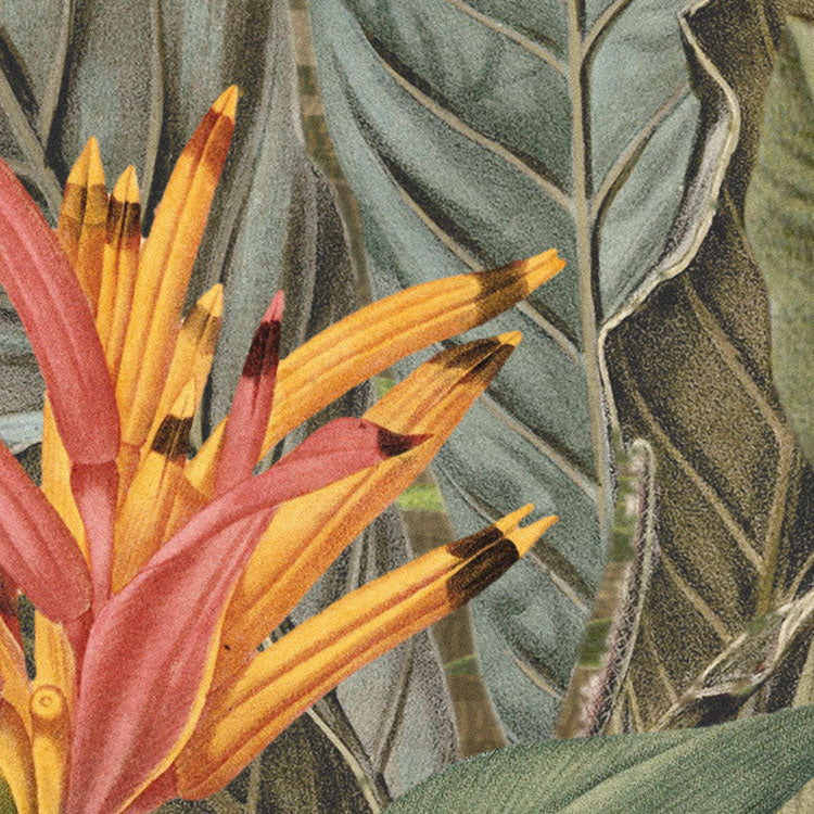 Amazonia Jungle Mural