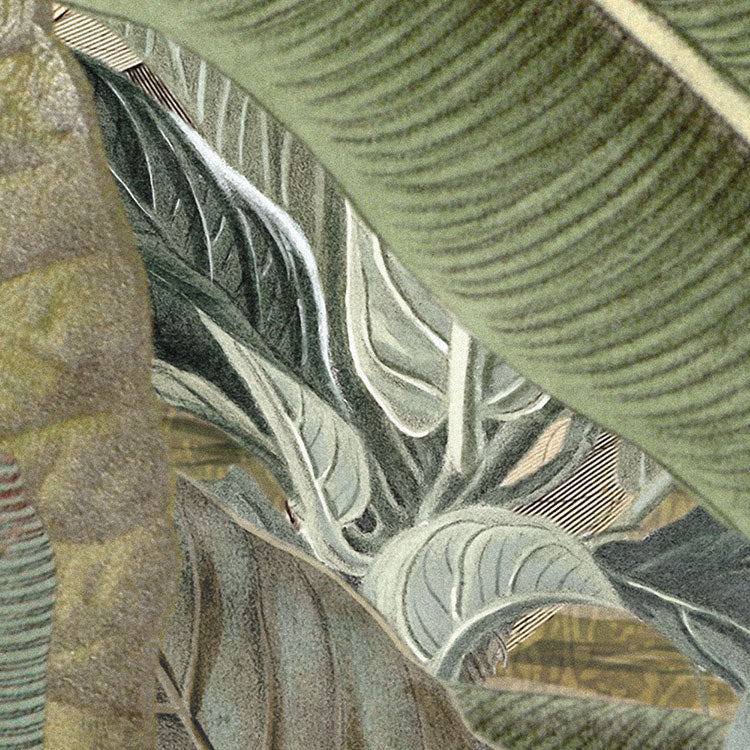 Amazonia Jungle Mural