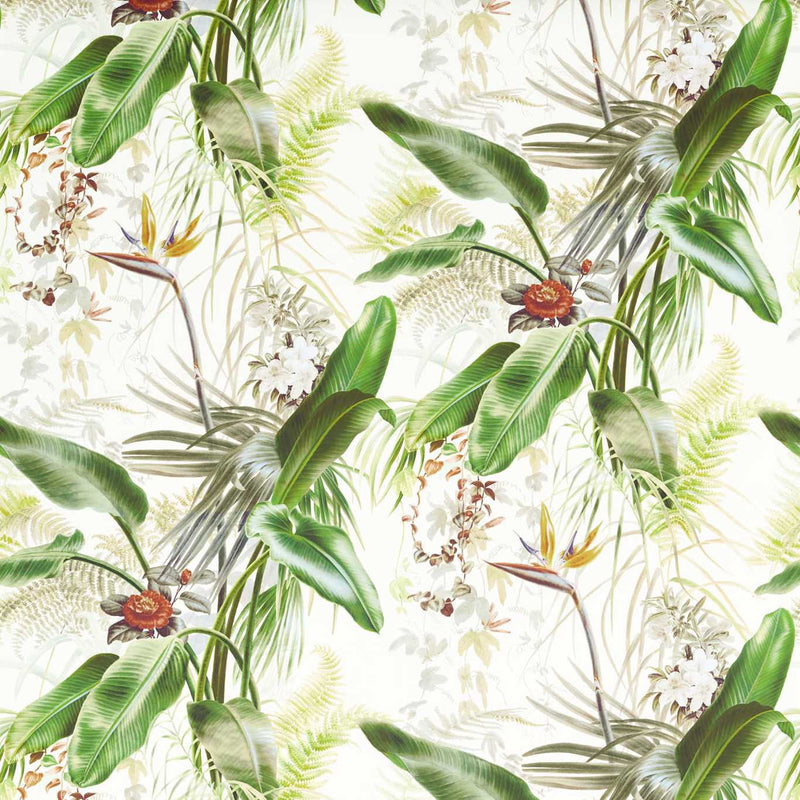 Paradise Row Superwide Wallpaper by Zoffany (Sold per Lineal Metre)