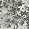 Richmond Park Wallpaper by Zoffany