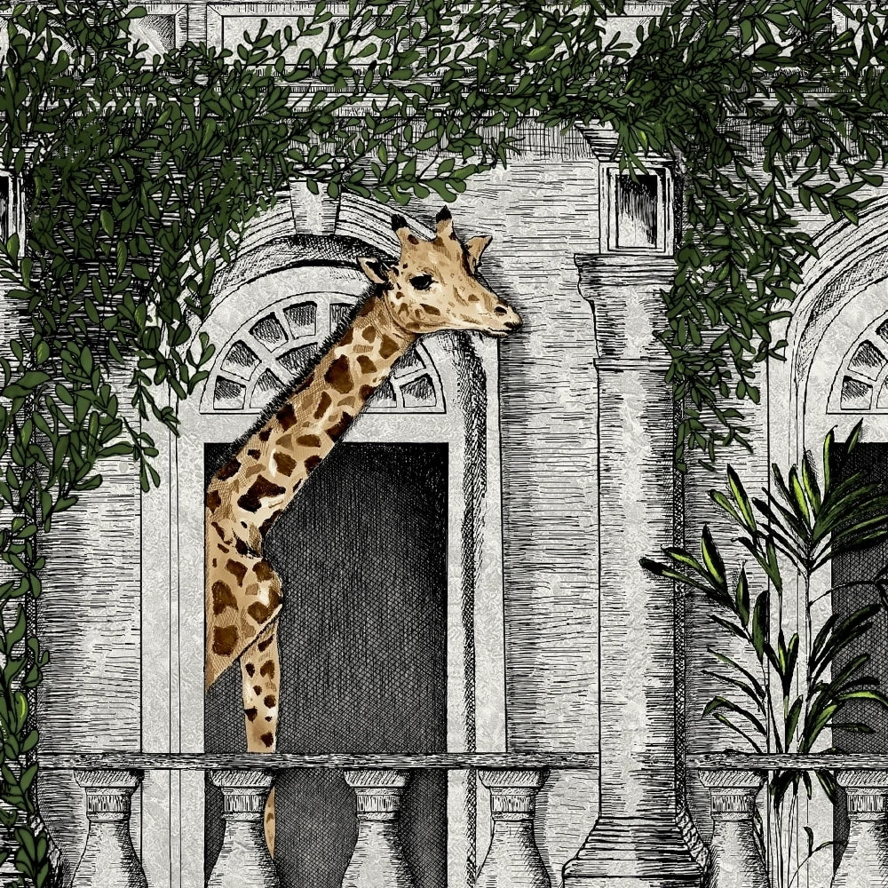 Animal Architecture Architecture Wallpaper by Brand McKenzie