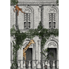Animal Architecture Architecture Wallpaper by Brand McKenzie