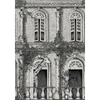 Animal Architecture Architecture Wallpaper by Brand McKenzie