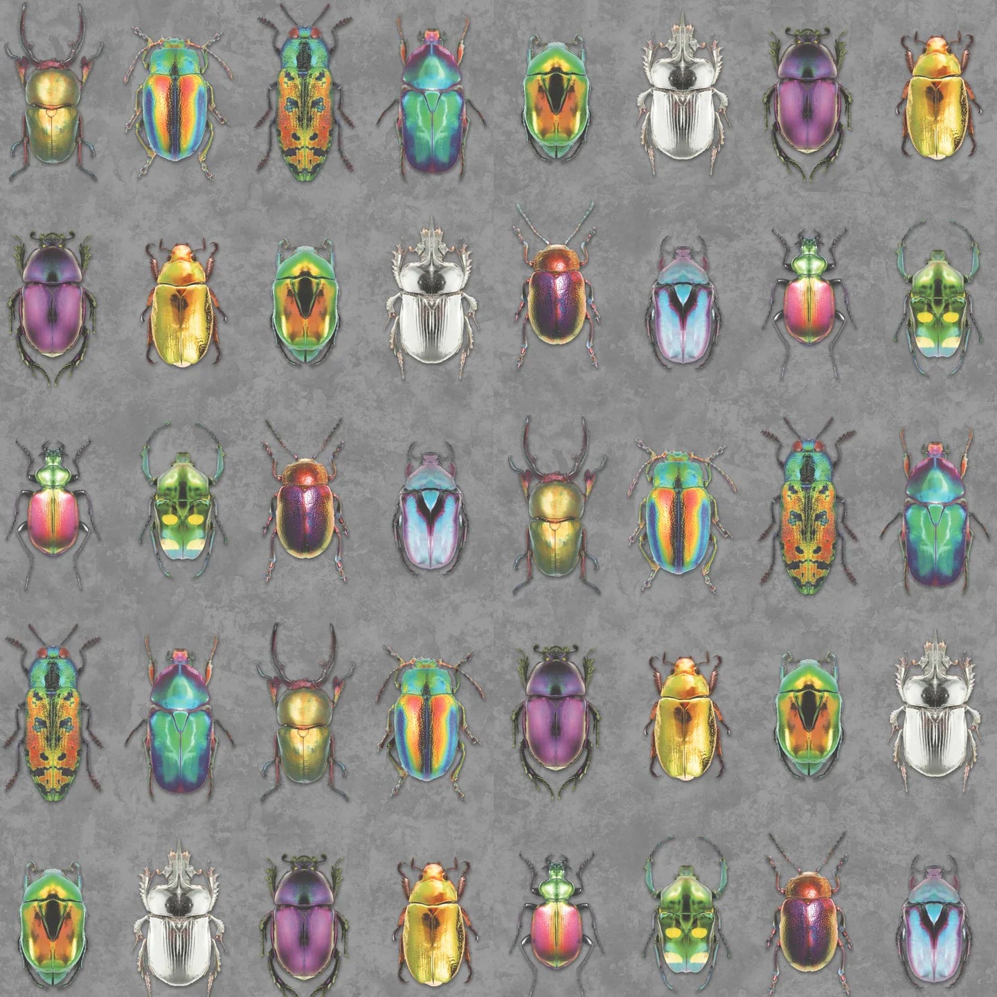 Beetle Jewels Wallpaper by Woodchip & Magnolia