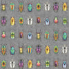 Beetle Jewels Wallpaper by Woodchip & Magnolia