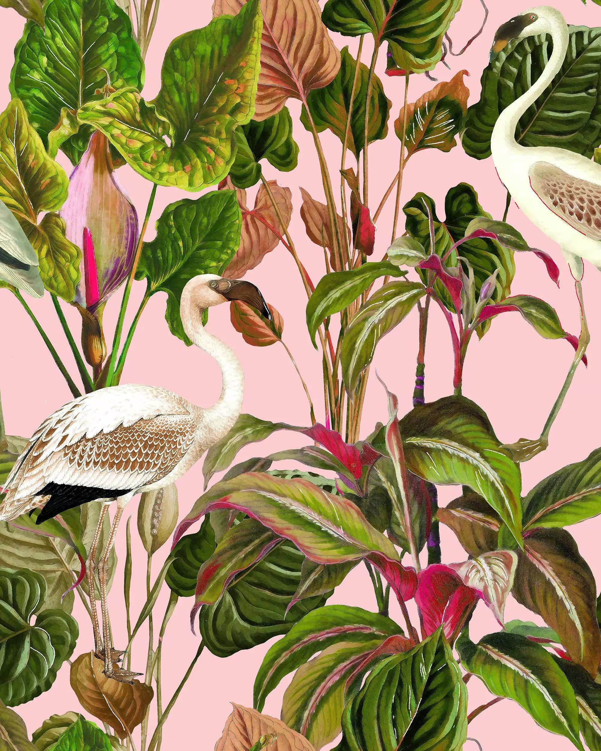 Beverly Hills Wallpaper by Mind The Gap