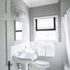 Feather Fan Wallpaper by Cole & Son