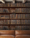 Book Shelves Wallpaper by Mind the Gap