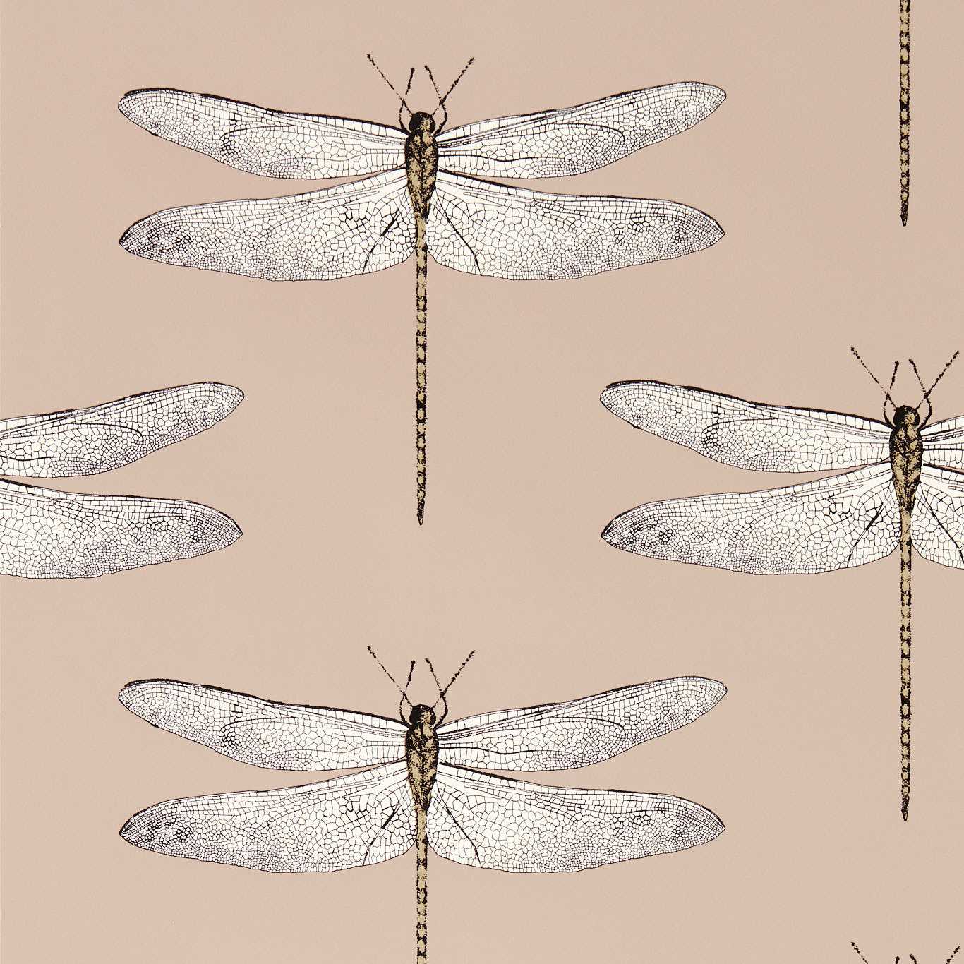 Demoiselle Wallpaper by Harlequin