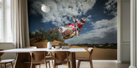 Knocked Up Mural by HappyWall