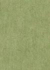 Oregano