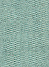 Juniper Green
