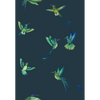Exotic Birds Wallpaper by Brand McKenzie
