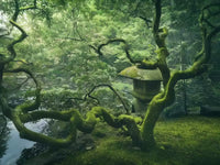 Japanese Tree Mural by HappyWall