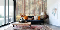 Misty Forest With Sunrays Mural by HappyWall